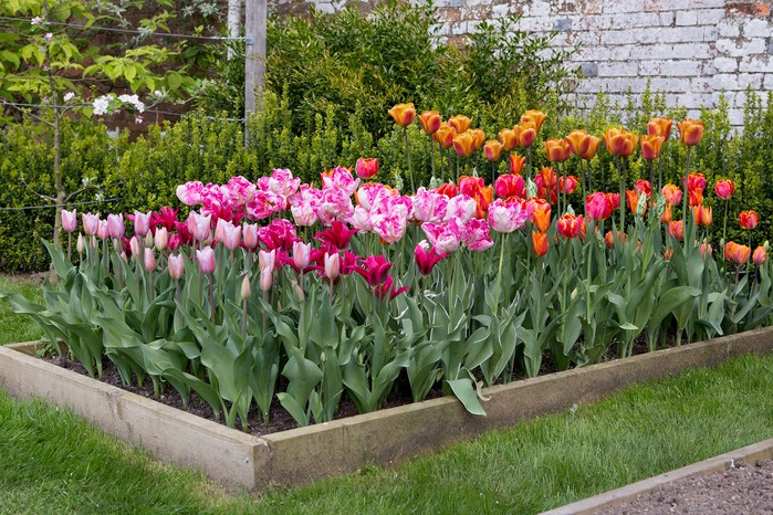 Freshly mulched garden bed beside a stone walkway